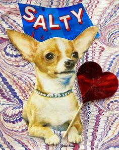 a small dog with a sign on it's head sitting next to a heart