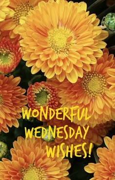 a bunch of yellow flowers with the words wonderful wednesday wishes written on top of them