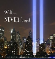 I WILL NEVER FORGET We Will Never Forget, Tumblr Image, Inside Job, We Are The World, Twin Towers, Facebook Image, History Lessons, World Trade, World Trade Center