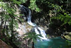 a waterfall in the middle of a forest with trees around it and blue water running down the side