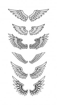 the different types of wings are shown in black and white