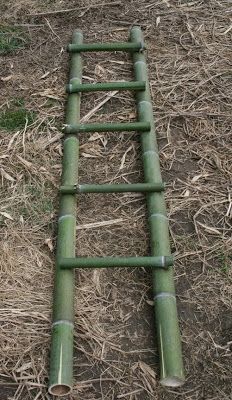 an old green ladder laying on the ground next to some dry grass and straws