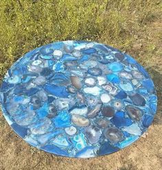 a blue plate sitting on top of a grass covered field