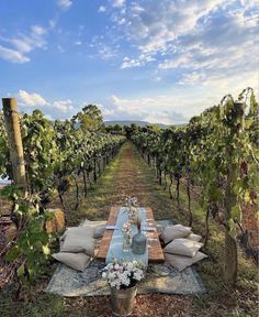 a picnic table in the middle of a vineyard