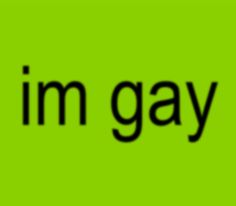 i'm gay text on a green background