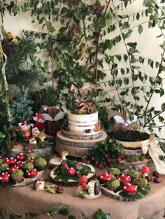 a table topped with lots of different types of plants and food on top of it