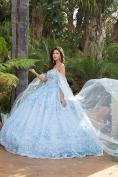 Butterfly Quince Dress, Butterfly Quince, Bella Princess, Princess Couture, Cape Sleeve Dress, Butterfly Applique, Military Ball Dresses, Quince Dress, Champagne Dress