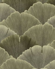 an image of large leaves that are in the shape of circles on a black and white background