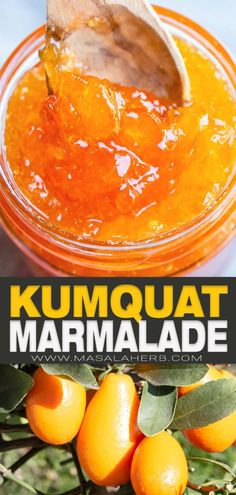 an orange marmalade in a glass jar with a wooden spoon over it and the words, kumquaat marmalade