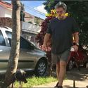 a man walking his dog down the sidewalk in front of some parked cars and trees