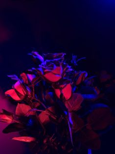 a vase filled with purple and red flowers on top of a wooden table next to a blue light