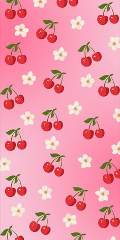 cherry blossoms and cherries are on a pink background with white flowers in the foreground