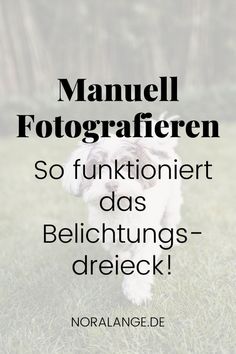 a small white dog running across a lush green field with the words manuell fotografieren so funtioniert des belichungs - drieck