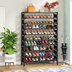 there is a shoe rack with many pairs of shoes on it and a plant in the corner