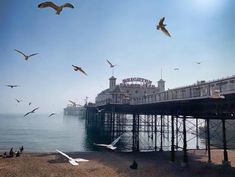 seagulls are flying over the beach and pier