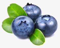 three blueberries with green leaves on white background