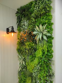 a green wall with plants and lights in the corner, next to a white wall