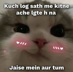 a close up of a cat's face with the caption saying, kuch log sath me kitte achte let h na