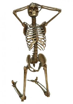 a skeleton is standing with its hands on his head and arms behind it's back