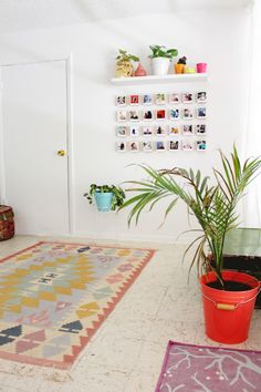 a living room with a rug, potted plant and pictures on the wall