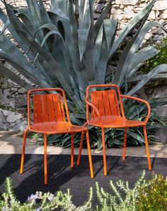 two orange chairs sitting next to each other in front of a large green plant and stone wall