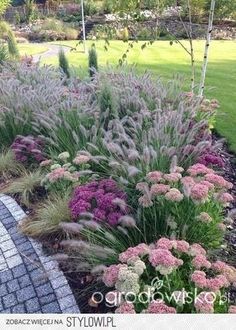 a garden with lots of purple flowers and green grass in the background, along side a brick walkway