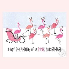 a pink christmas card with flamingos pulling a sleigh in the snow and text i'm dreaming of a pink christmas