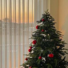 a small christmas tree in front of a window