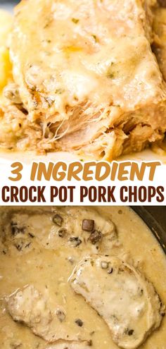 three different types of crock pot pork chops