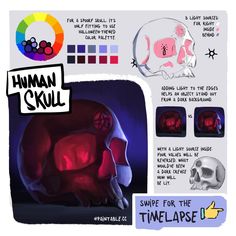 the human skull is made up of different types of skulls and colors, including red