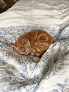 an orange tabby cat sleeping on top of a white comforter covered in blue flowers