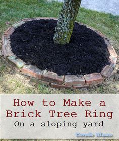 a brick tree ring with the words how to make a brick tree ring on landscaping yard