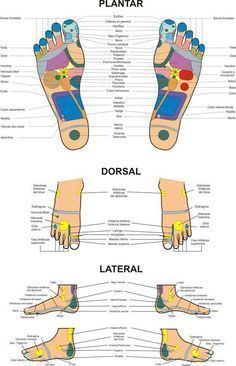 Swimmers Ear Remedy, Medical Anatomy, Acupressure Points, Natural Therapy