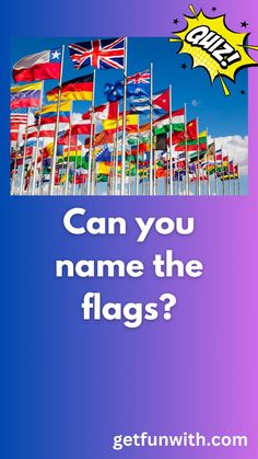 a poster with the words can you name the flags?