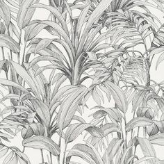 an image of a drawing of plants in black and white colors on a wallpaper background