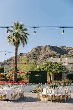 an outdoor dining area with tables and chairs set up in front of a palm tree