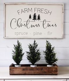 three potted trees sitting in front of a sign that says farm fresh christmas trees