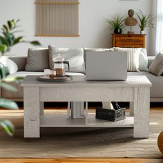 a living room with a couch, coffee table and potted plant on the floor