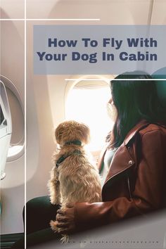 a woman sitting on an airplane with her dog looking out the window, and how to fly with your dog in cabin