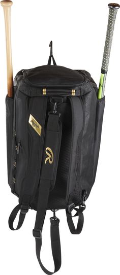 a back pack with two baseball bats and a bat in it's pocket on a white background