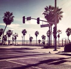 palm trees line the street in front of an ocean and beach area with traffic lights