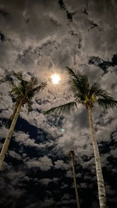 three palm trees under a cloudy sky at night