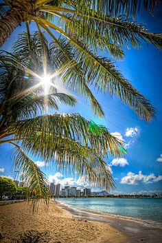 the sun shines brightly through palm trees on a tropical beach with blue water and buildings in the background