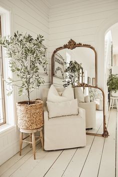 a living room filled with furniture and a large mirror on the wall next to a potted plant