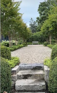 a stone path leading to a bench surrounded by trees