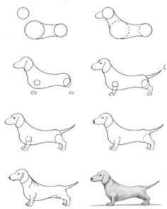 some drawings of dogs that are in different positions and sizes, including one dachshund