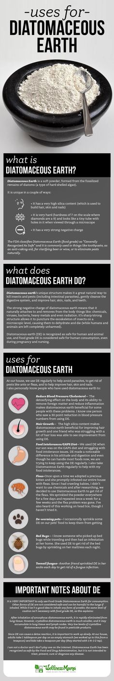 Diatomaceous earth is a chalky powder of fossilized diatoms. It is helpful for eliminating bed bugs, fleas and other pests and is a powerful beauty remedy. Diatomaceous Earth Food Grade, Holistic Remedies, Diatomaceous Earth, Beauty Remedies, Bed Bugs, Diy Health, Natural Home Remedies, Back To Nature