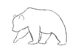 a drawing of a bear that is standing on one leg and looking down at the ground