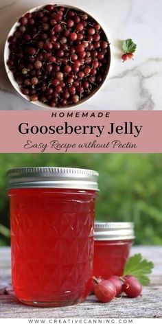 homemade gooseberry jelly recipe without pectin