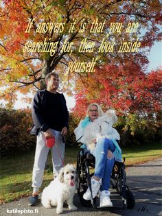 a man and woman in wheelchairs with two dogs